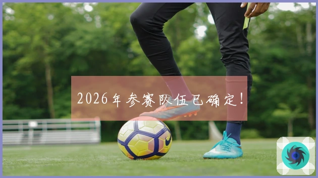 2026年参赛队伍已确定！