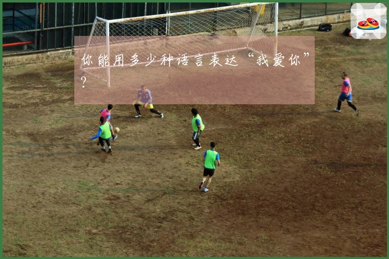 你能用多少种语言表达“我爱你”？