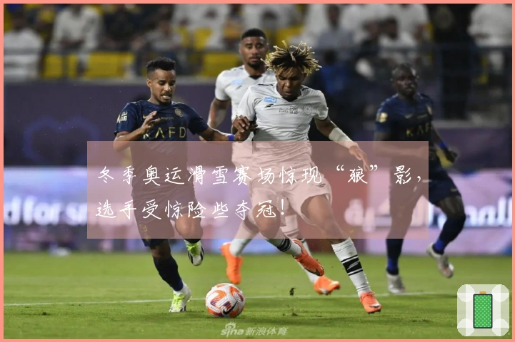 冬季奥运滑雪赛场惊现“狼”影，选手受惊险些夺冠！